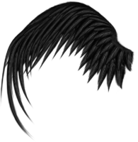 Black Wing