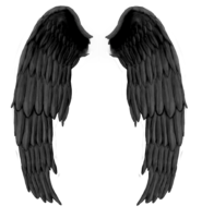 Angel Wings