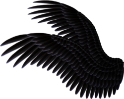 Black Angel Wings