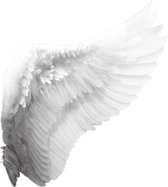 Angel’s Wing
