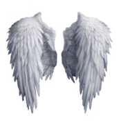 Angel Wings