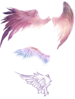 Beautiful angel wings