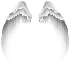 Wings of the Archangel