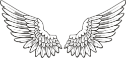 Wings of the archangel, tattoo