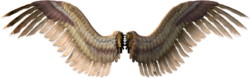 Angel wings, angel