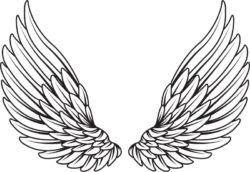 Tattoo sketch, angel wings