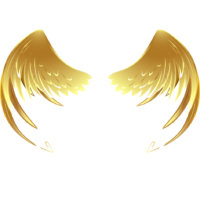 Golden Angel Wings