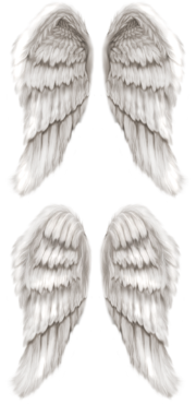 Angel Wings for photoshop