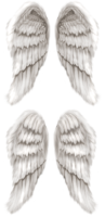 Angel Wings for photoshop