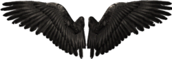 Dark Angel Wings
