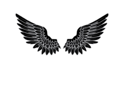 Angel wings drawing