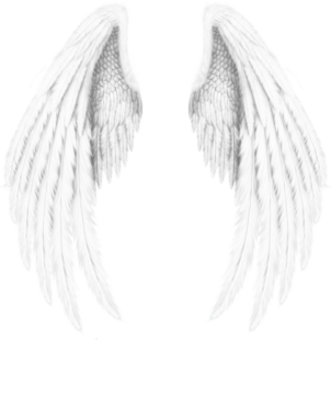 Beautiful white wings