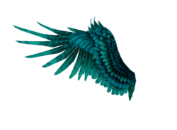 Background wings