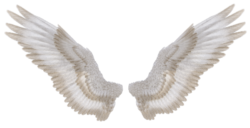 Background wings, tattoo