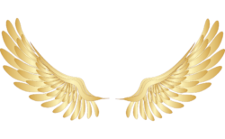 Tattoo sketch, golden wings