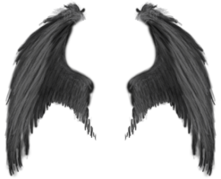 Tattoo sketch, black wings