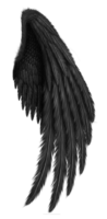 Tattoo, wings, sketch, black wing