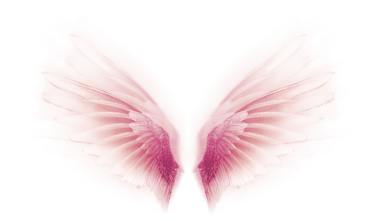 Pink wings