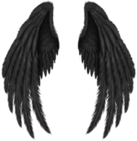 Wings for photoshop, logo