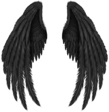 Wings for photoshop, logo