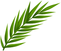Tropical branches