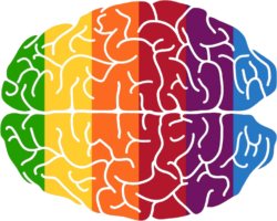 Multicolored brain