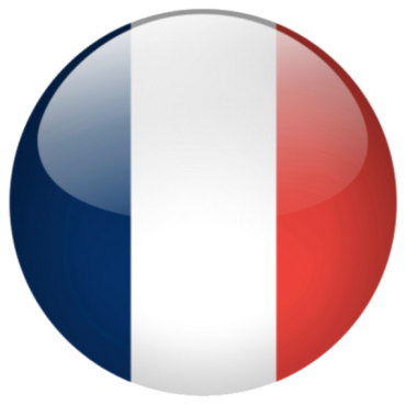 Flag of France badge