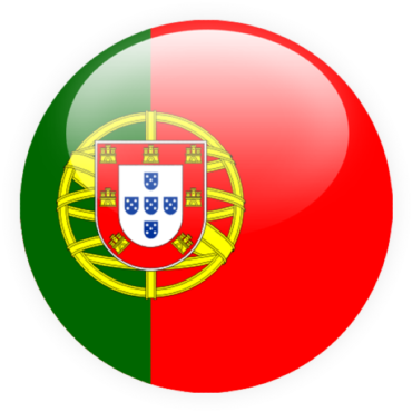 Flag of Portugal icon