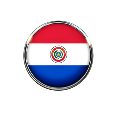 Flag of Paraguay badge