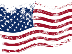 Torn American Flag