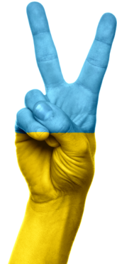 Ukrainian flag in hand