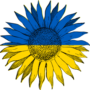 Sunflower, the flag of Ukraine