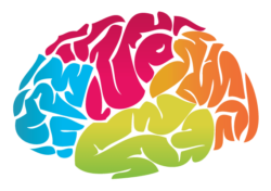 Brain drawing is beautiful