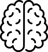 Human brain drawing