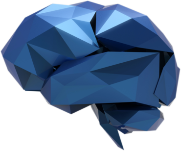 Polygonal brain