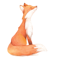 Drawing of a fox
