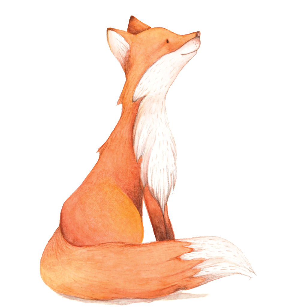 Fox Drawing png download - 774*1032 - Free Transparent Drawing png  Download. - CleanPNG / KissPNG