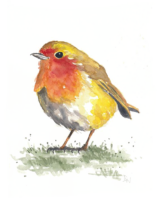 Bird in watercolor