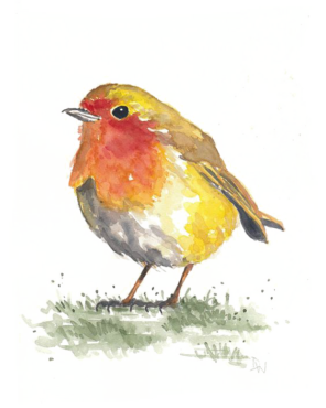 Bird in watercolor