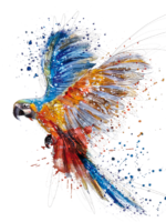 Parrot painting