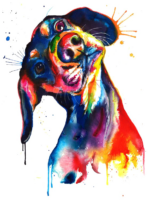 Dog painting