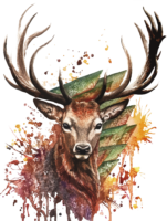 Deer picture