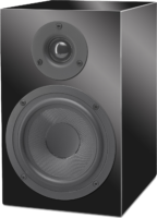 Project speaker system