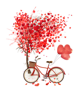 Heart-shaped tree and bicycle