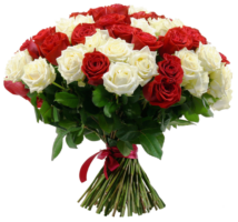 Bouquet of red roses