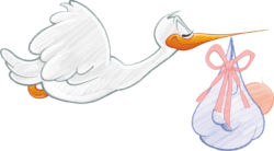 Stork with a baby