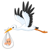 The stork carries the baby