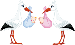 Stork with babies