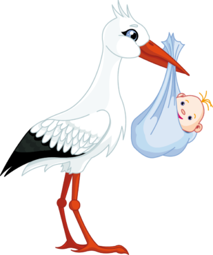 Stork child, png