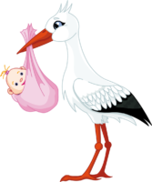 Stork with a baby